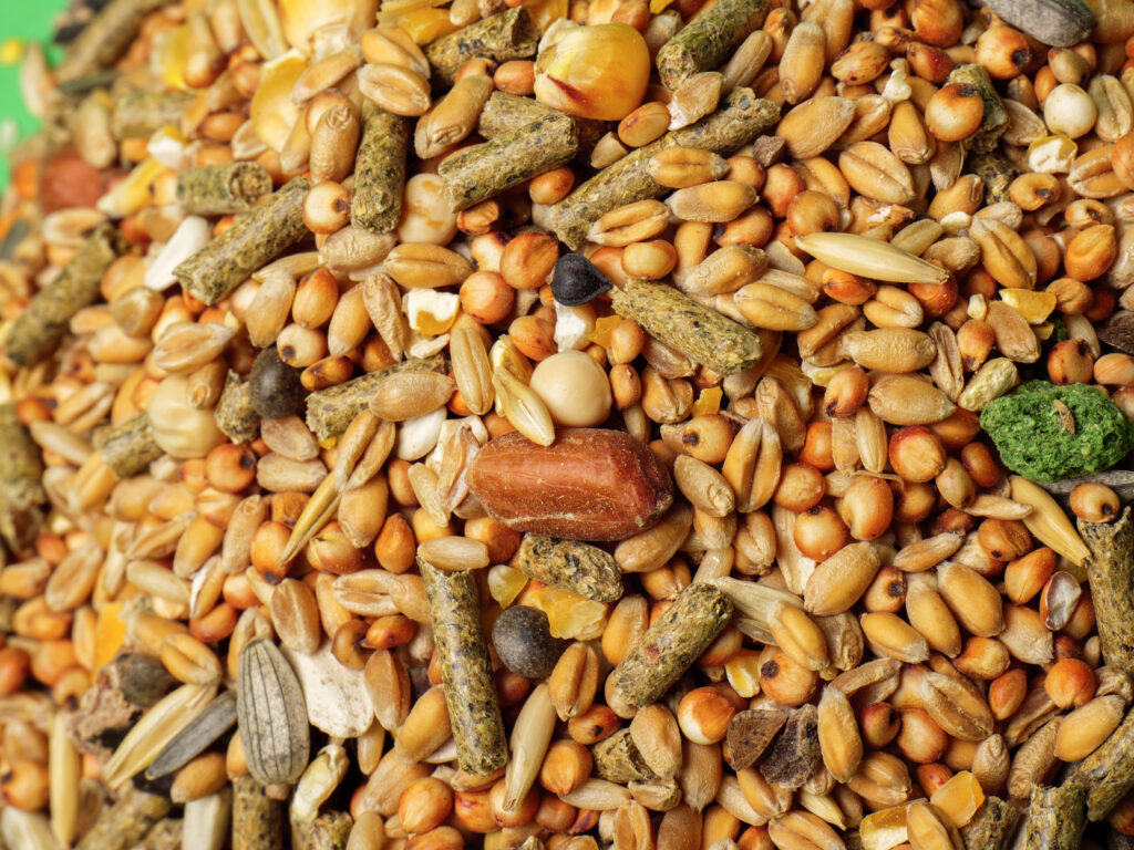 5 beneficios sorprendentes de la comida para hámster Wuapu, tu distribuidor de alimentos para mascotas
