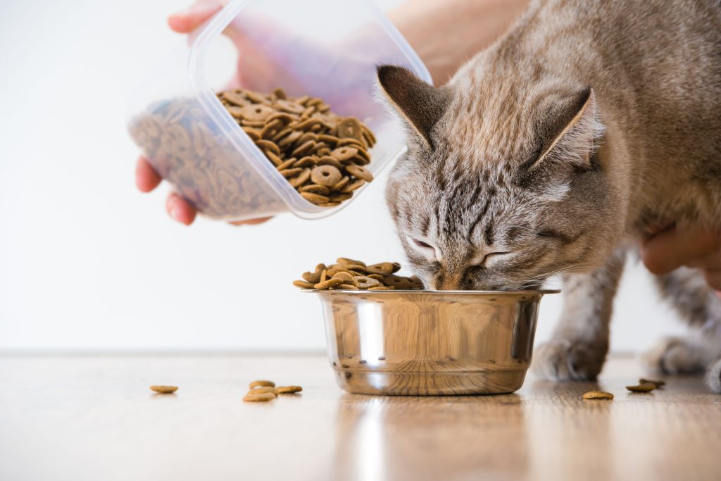 8 Beneficios Únicos de la Novedad Almo Nature en la Alimentación de Tu Mascota