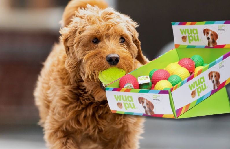 3 Nuevos Displays de Pelotas para Perro: Diversión y Funcionalidad para Todos los Tamaños