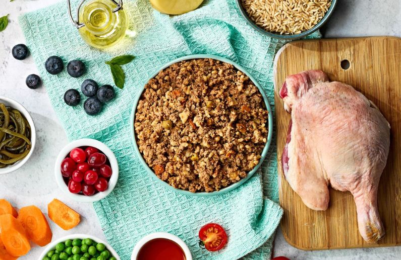 5 Razones para Elegir Naturo Pet Food: Alimento Húmedo y Estómagos Sensibles en Perros Senior