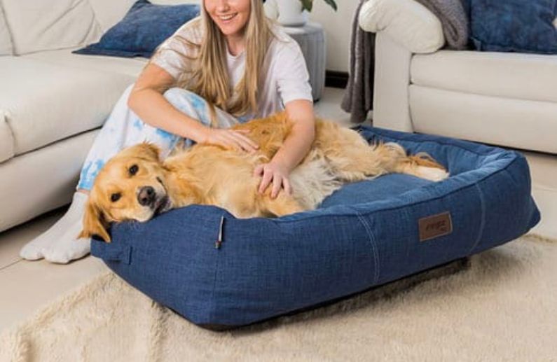 5 Razones para Elegir las Camas Rogz y Asegurar el Confort de tu Mascota