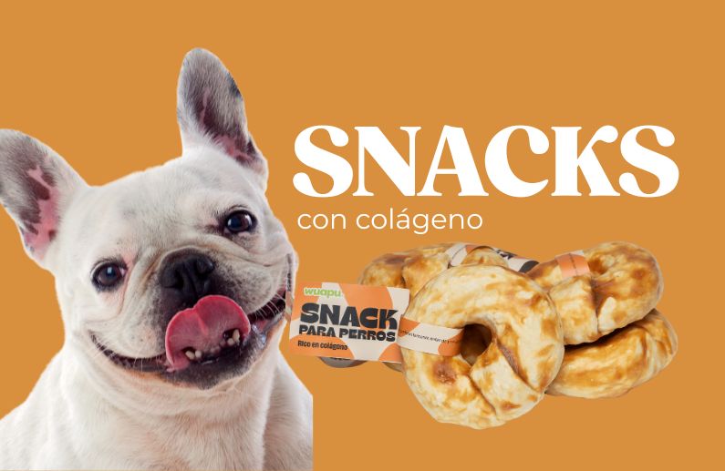 6 razones por las que los snacks con colágeno de Wuapu destacan en funcionalidad y formulación