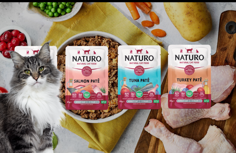 6 beneficios del alimento húmedo para gatos Naturo que mejoran su salud y apetito