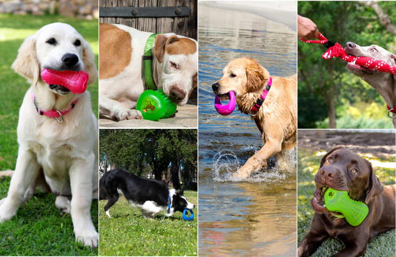 7 aspectos clave sobre los productos Rogz que marcan la diferencia en el cuidado y entretenimiento de perros y gatos