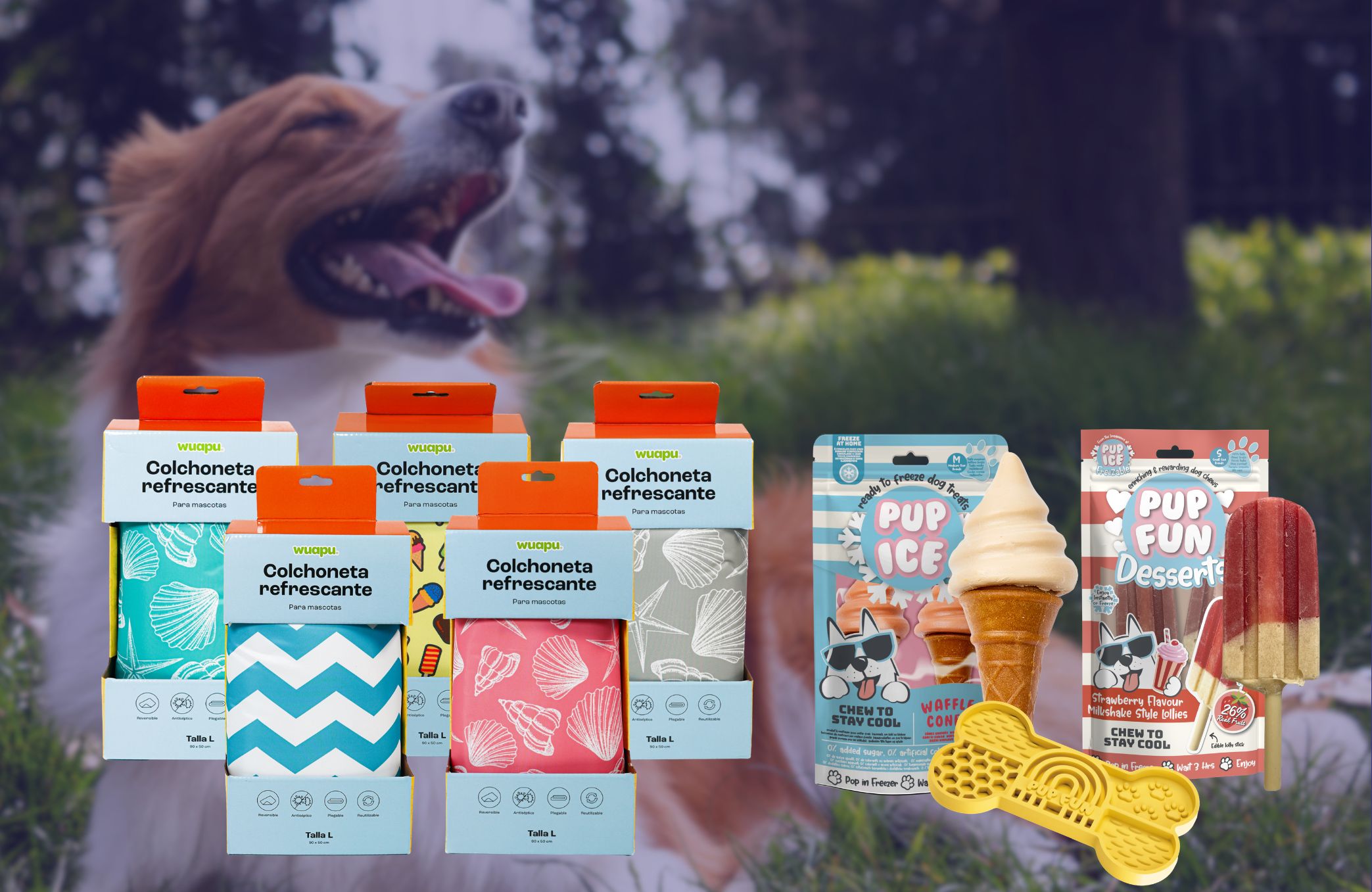 Helados y colchonetas refrescantes para perros: 6 claves para afrontar el calor con soluciones eficaces