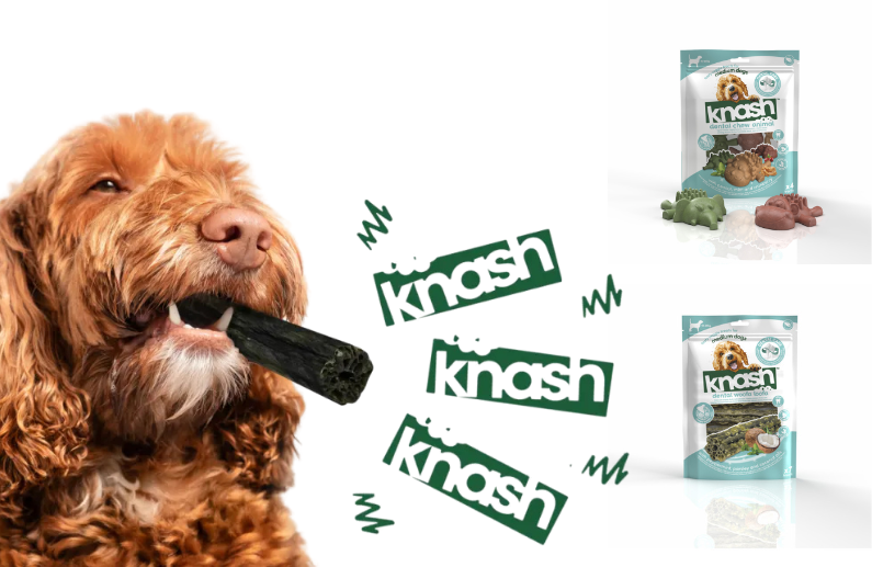 Snacks dentales para perros: 6 formas de combinar premio, entretenimiento y cuidado bucal