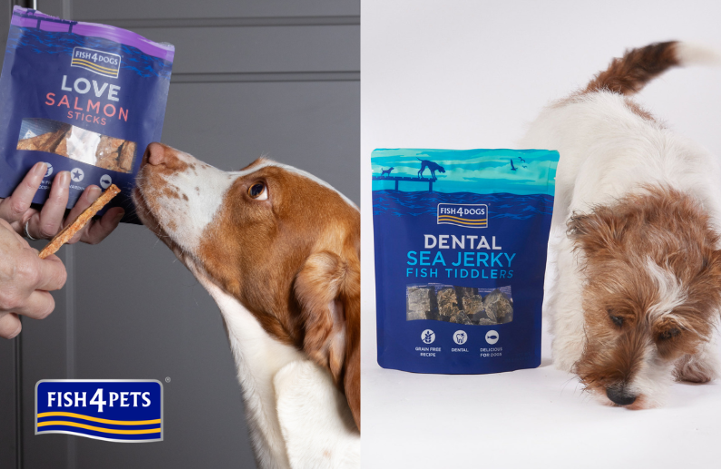 Alimentación con pescado para perros: 5 claves para entender la propuesta de Fish4Dogs