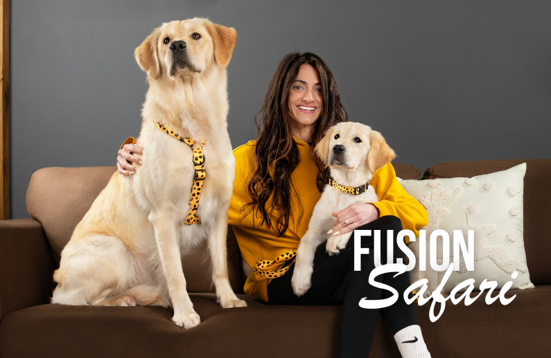 ROGZ Fusion Safari: 6 razones por las que esta colección marca la diferencia en accesorios para perros y gatos