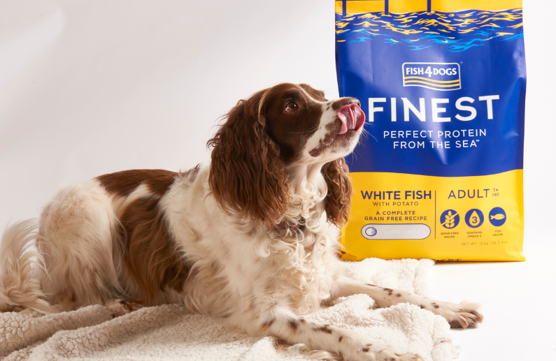 Alimentación con pescado para perros y gatos: 5 razones para elegir una nutrición basada en pescado