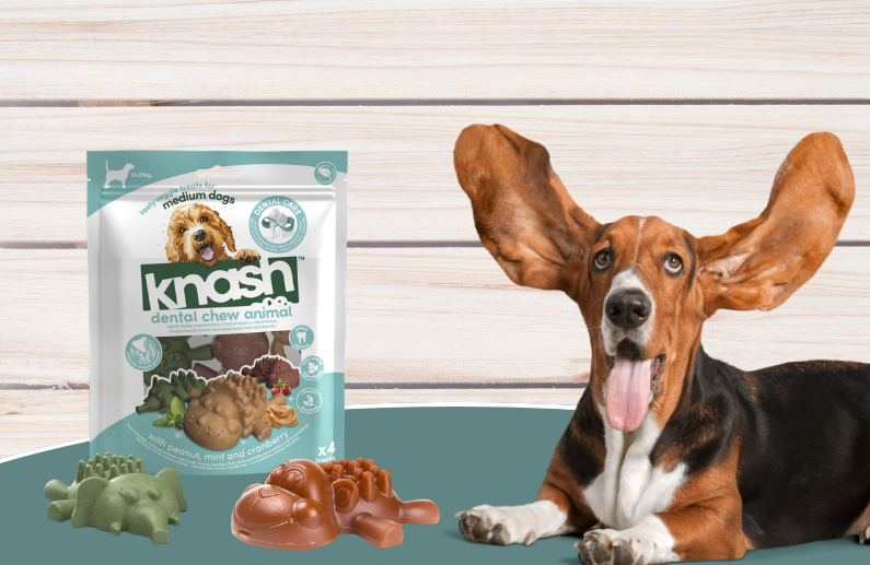 Knash Dental Chew Animals: 6 beneficios de un snack que combina masticación y cuidado dental